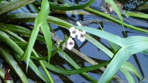 Трудовая рыбалка на реке Сок Один на реке