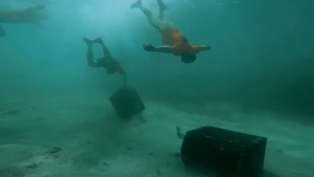 APL SUMMER ACADEMY 2021 PANAMA FILM. Летняя Академия "Дикая Панама". смотреть онлайн