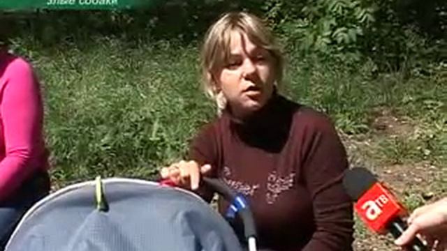 Дикие собаки парка "Преображенский" смотреть онлайн