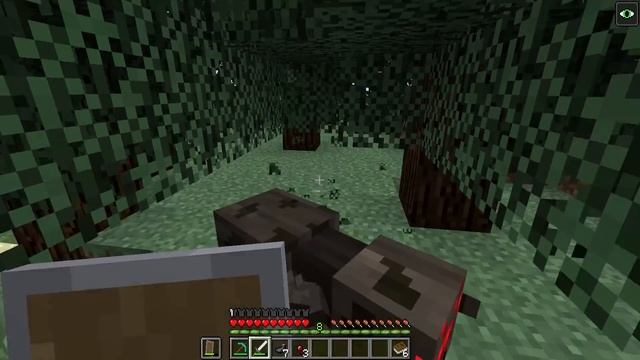 Using CUSTOM HEARTS In Minecraft