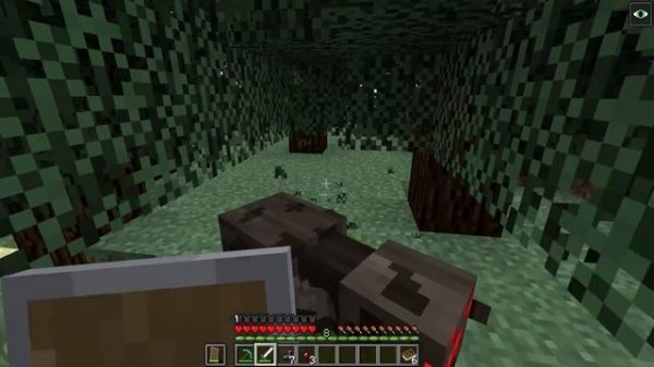 Using CUSTOM HEARTS in Minecraft