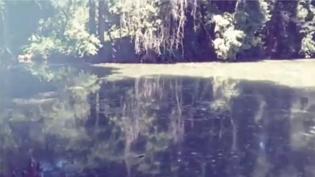 Ботанический сад Ташкента смотреть онлайн