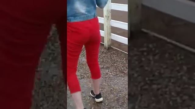 ЧЁРНЫЙ АФРИКАНСКИЙ СТРАУС/ВСЕ ФОТКУЮТЬСЯ смотреть онлайн