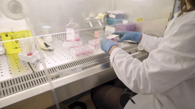 Medicine - University of Bologna: create your future смотреть онлайн