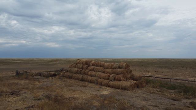 Юлия Лобастова. Особое мнение. смотреть онлайн