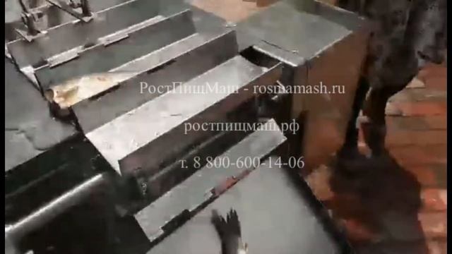 Обзор отрезание головы (хвоста) у рыб на Машине FC-1 от РостПищМаш смотреть онлайн