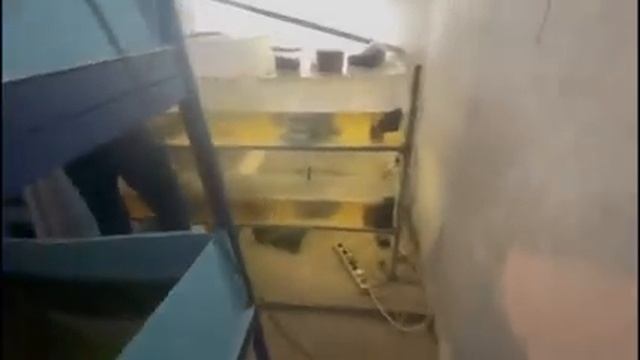 поездка в Лобню за отличными раками к Раковод-88 смотреть онлайн