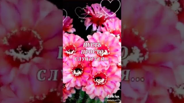 люди! пусть все хорошо будет у вас.пусть будет мир и солнце. И нет смертей, разочарований. смотреть онлайн