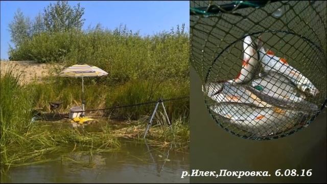 РЫБАЛКА В ОРЕНБУРЖЬЕ.ИТОГИ УХОДЯЩЕГО ГОДА-ЭХ РЫБАЛОЧКА смотреть онлайн