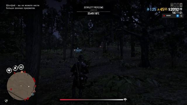 Место спавна пантеры/флоридской пумы в РДО №2 смотреть онлайн