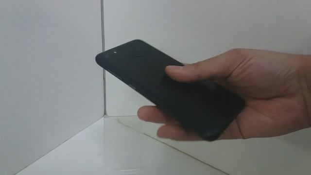 Видео №335425