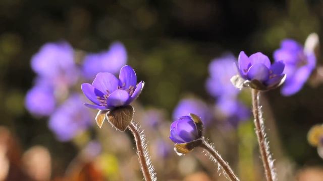 You The Most High смотреть онлайн