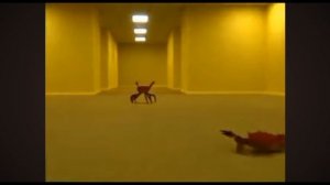 крабики дэнс