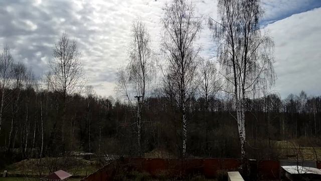 Делаю грядки из подручных материалов. Высаживаю рассаду в теплицы. Жизнь семьи в деревне! смотреть онлайн