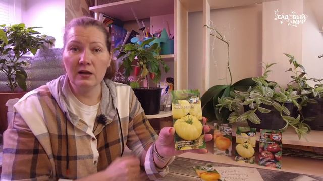 ТРИ САМЫХ САХАРНЫХ СОРТА ТОМАТОВ. ТАКИХ СЛАДКИХ ПОМИДОРОВ ВЫ НЕ КУПИТЕ НИ НА ОДНОМ РЫНКЕ, СЕЙТЕ САМ смотреть онлайн