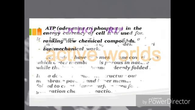 THE FUNDAMENTALS UNIT OF LIFE IN HINDI GUJARAT BOARD CLASS 9 SCIENCE CHAPTER 5