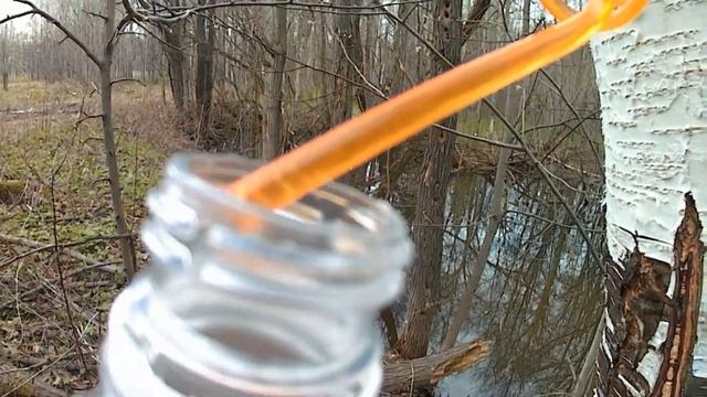 Секреты Руководства