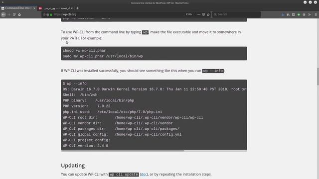WP CLI : 1- Installation & Wordpress Update Command смотреть онлайн