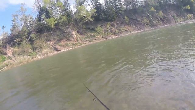 Охота за вишневым c Palm's Rerakamui RRTS-71ML смотреть онлайн