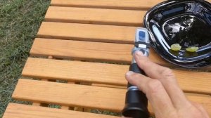 Виноград " Гарольд "