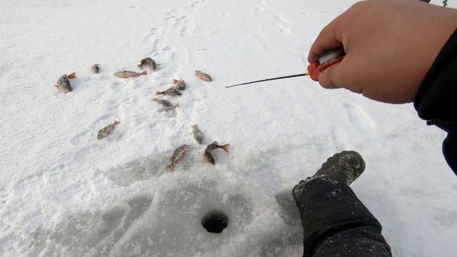 Рыбалка2020-2021. Это надо так нарваться на жор. смотреть онлайн