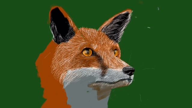 Brown Fox Speed Drawing using iPad Pro 9.7 + Apple Pencil + Procreate смотреть онлайн
