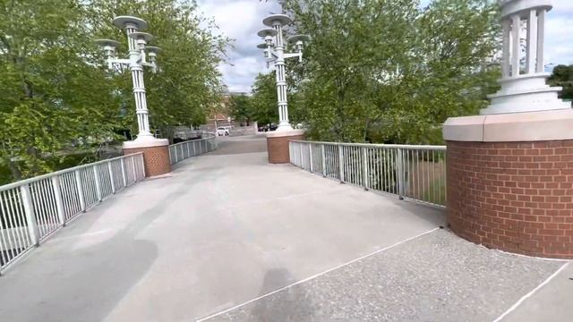 Magnolias at Knoxville, TN, USA - Магнолии в Ноксвилл, Теннесси, США смотреть онлайн