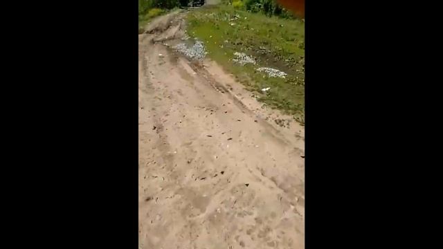 Бабочки летают смотреть онлайн