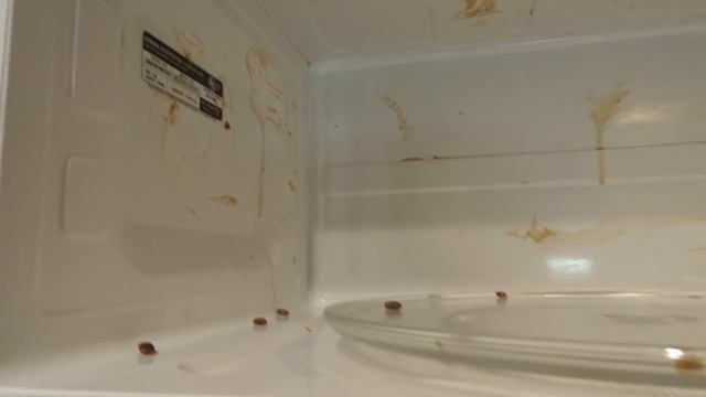 Angry Mama : Best Or Worst Way To Clean Your Microwave? смотреть онлайн