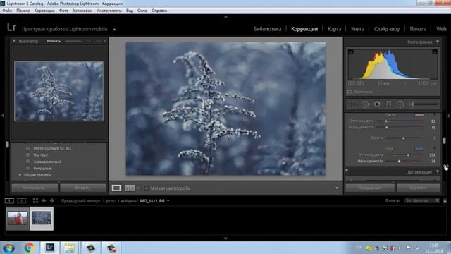 Lightroom : быстрая и стильная обработка фото II Пресеты смотреть онлайн