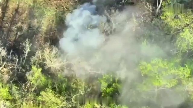 Денацификацию живой силы ВСУ устроила 4-я бригада ЛНР. смотреть онлайн