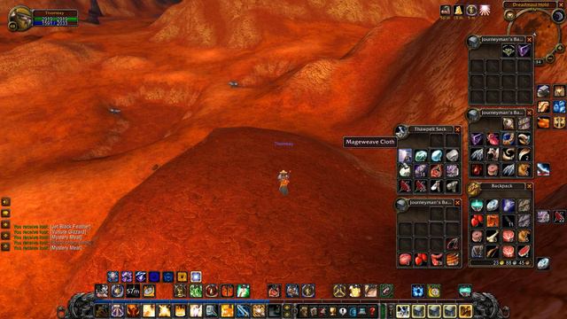 WoW Classic S1 Part 157: Beast Chunks Farming смотреть онлайн