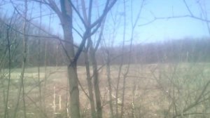 КустоДер 3000 Как мы корчевали кусты и дикие яблони