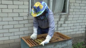 Качка Мёда. Как Выкачать мед из улья.