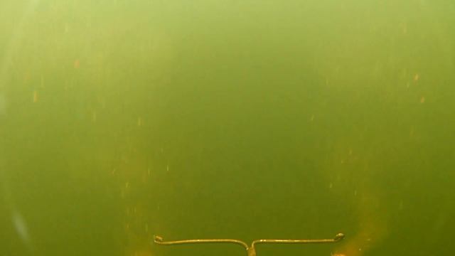 ПОДВОДНОЕ ВИДЕО. 2 ДНЯ ИЩУ РЫБУ!!! Что обитает в русловой яме? Что на дне под мостом? смотреть онлайн