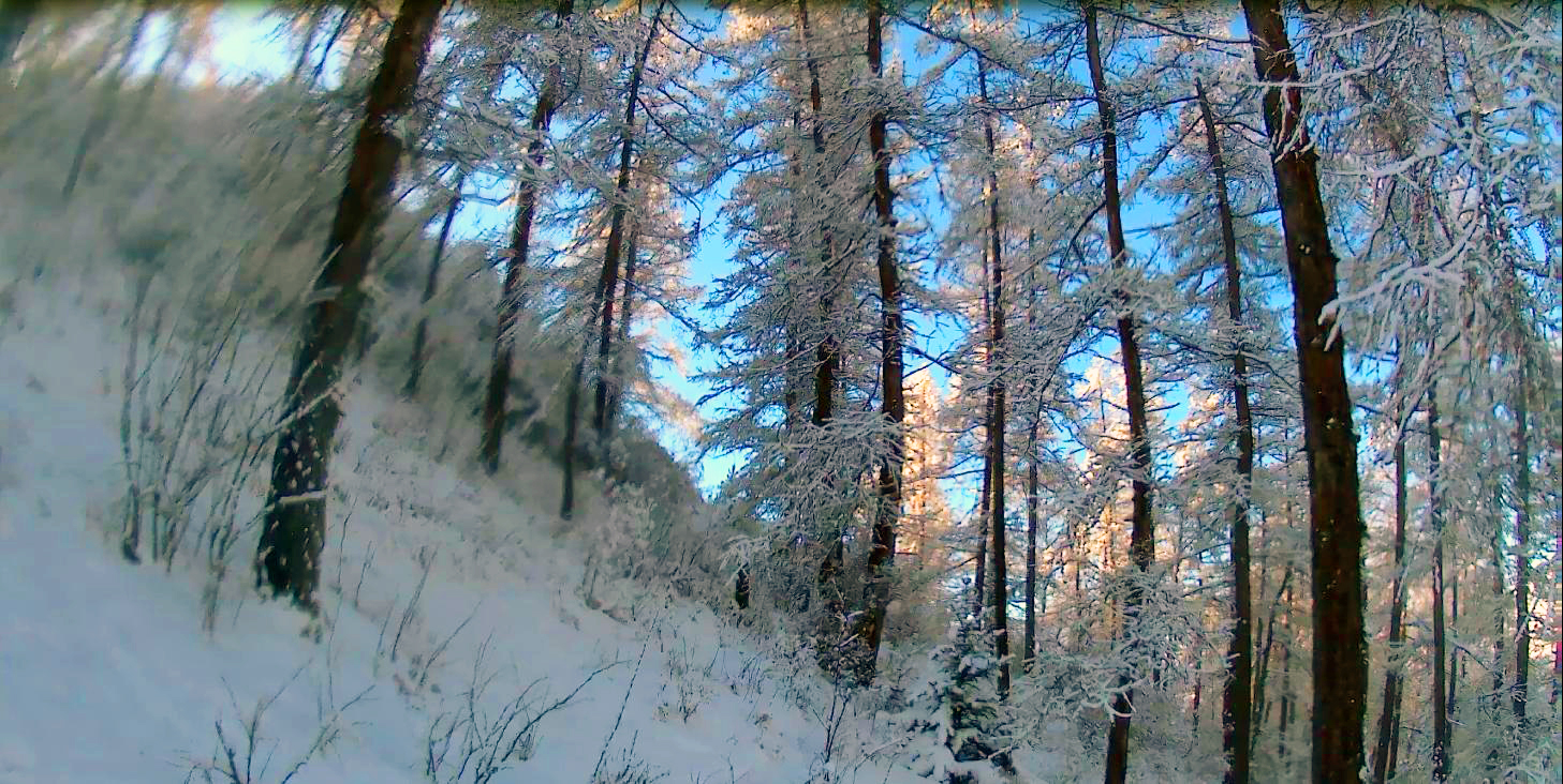 Горный Алтай. Поход в горы зимой смотреть онлайн