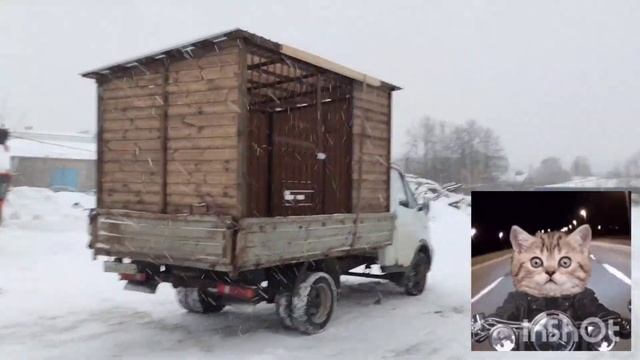 Вольер для собаки производство Нижний Новгород