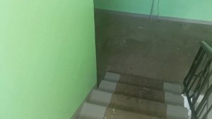 Осматриваю подъезд Энтузиастов 12а, подъезд 1