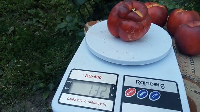 Нектарин ВАНГ-8 на півночі України смотреть онлайн