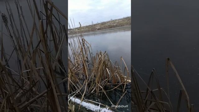 В поисках льда 19.11.2023 #рыбалка #зимняя рыбалка смотреть онлайн