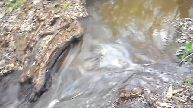 половодье в среднеахтубинской пойме смотреть онлайн