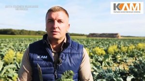 Капуста савойская Мелисса от Бейо Заден