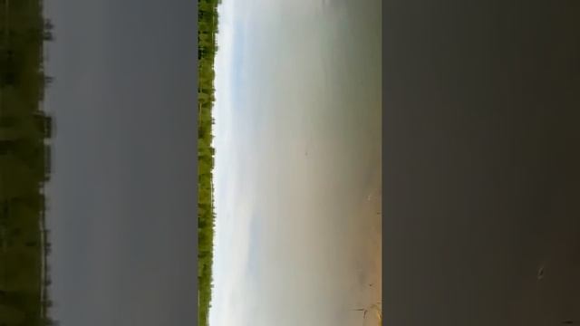 Волга, ловля сельди 2017 смотреть онлайн