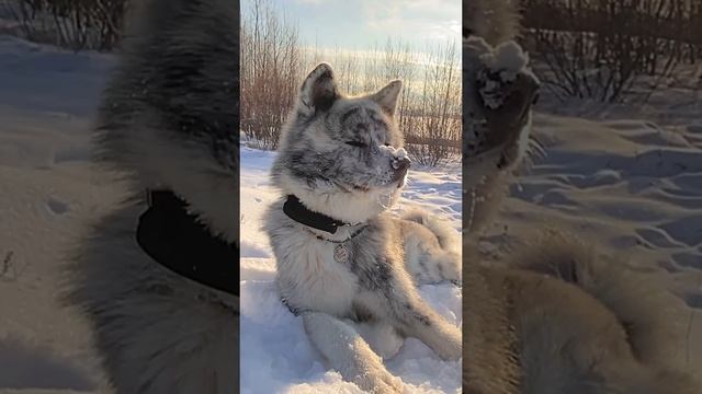 Брутальчик ? смотреть онлайн
