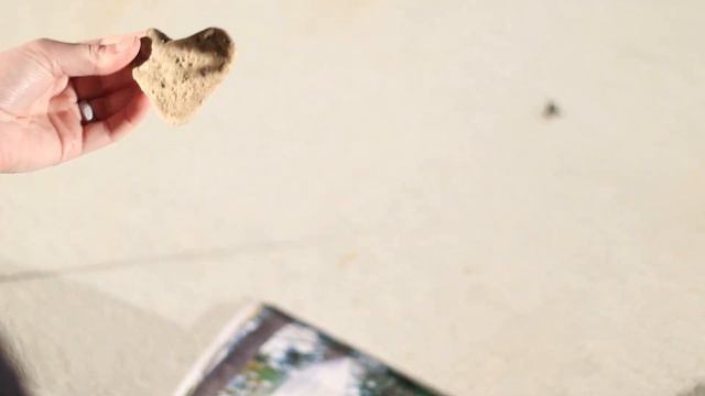 Psalm 23: Love Letter From God смотреть онлайн