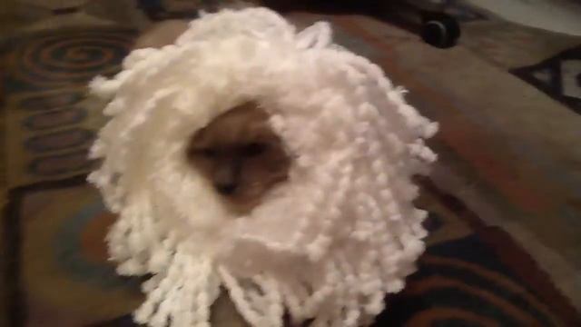 Feb 15, 2015 смотреть онлайн