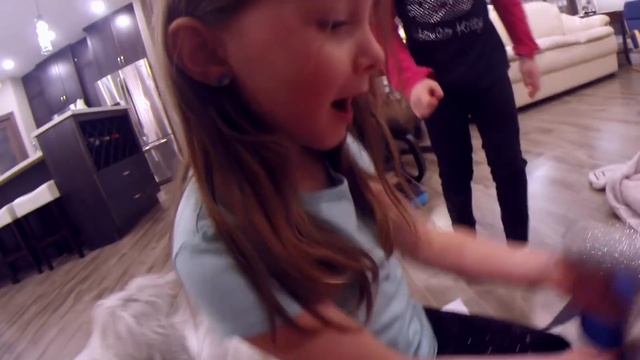 Getting A Puppy For Christmas! Puppies As Gifts Compilation 2017 смотреть онлайн