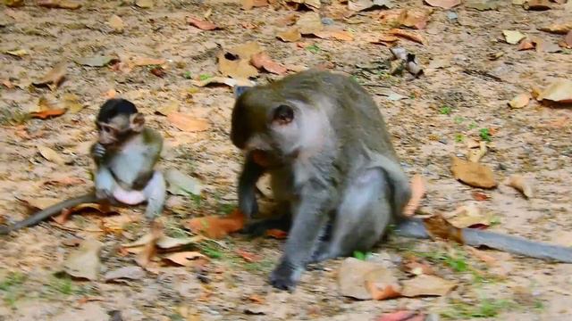 MG Baby TILLY Get Shocked Hard Move Out Cos Her Mommy TOMA Threat Her Like This