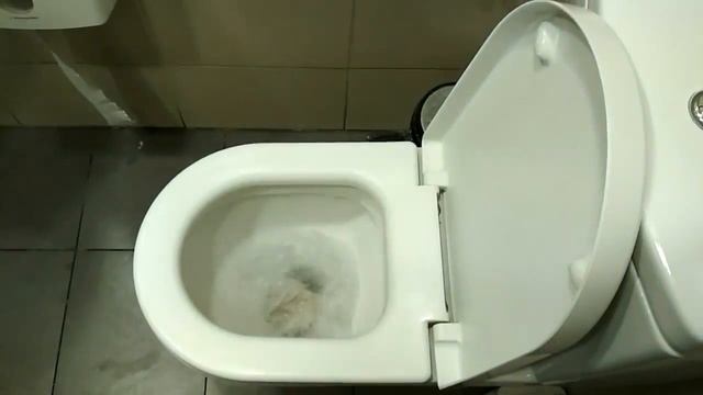 Jika Mio at Israel MacDonalds тестирование напольного унитаза с бачком Джика Мио смотреть онлайн