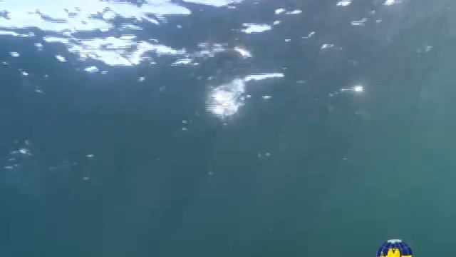 Подводные съемки Баренцева моря